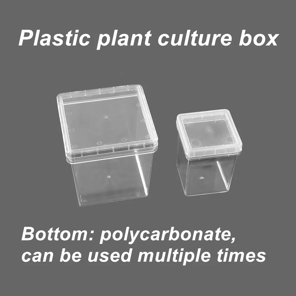 Plant incubator plastic square tissue culture bottle square bottle PC can be sterilized