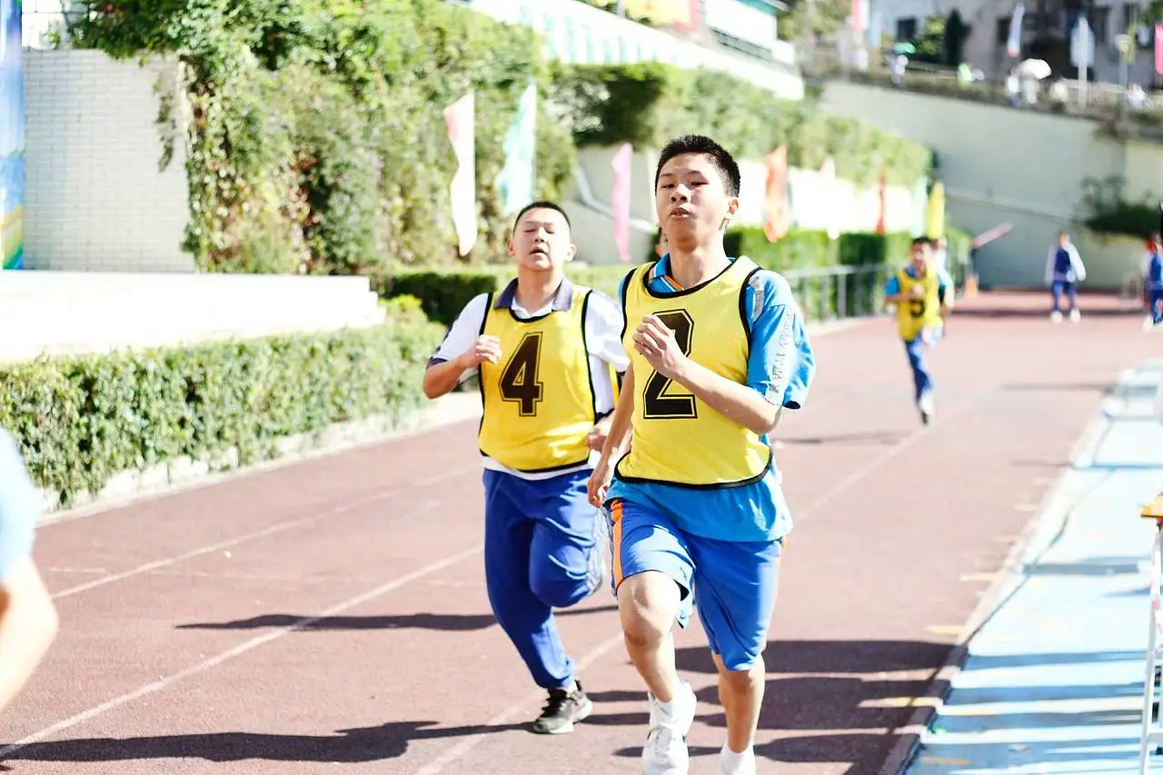 For Wpl D12 D22 D32…