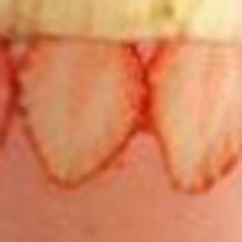 Single Bowl Slush M…