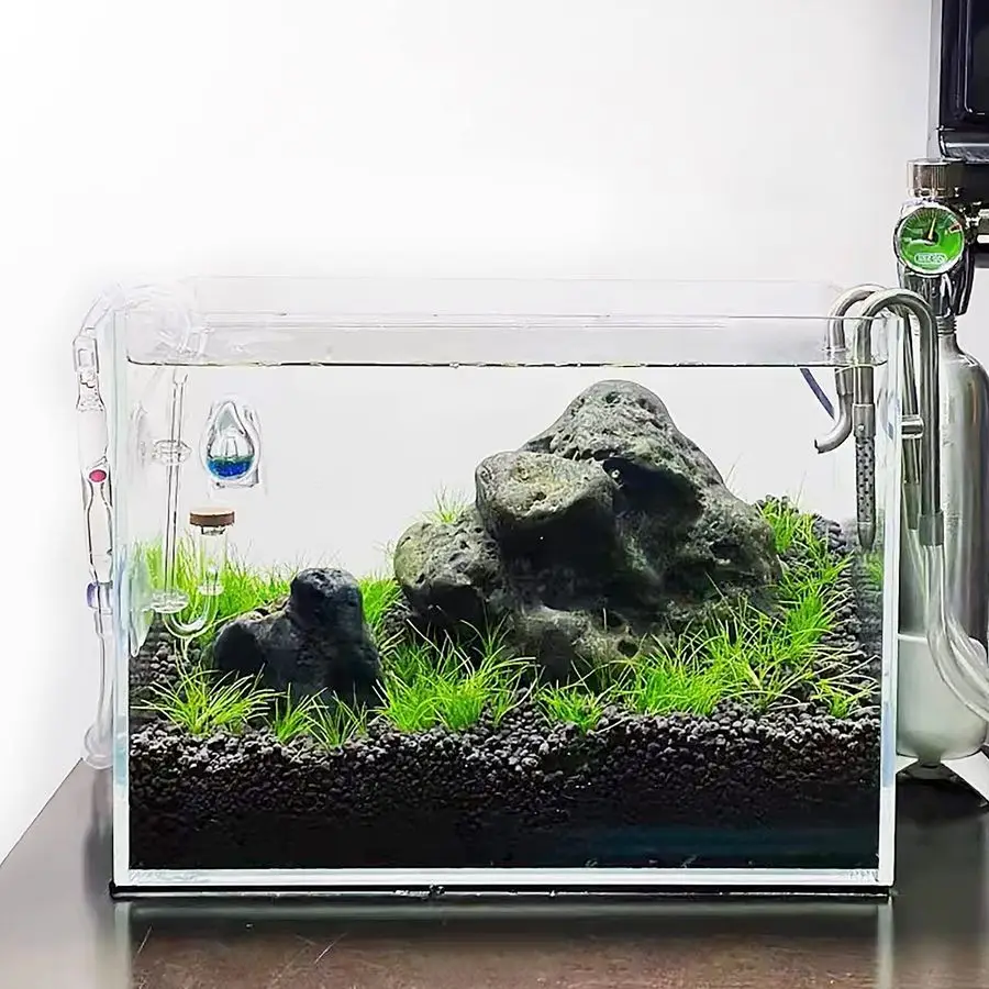 Rimless Low Iron Aquarium Tank 6