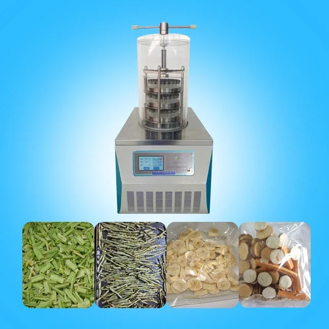 Freeze Dry Lyophilization Machine Lab Vacuum Freeze Dryer