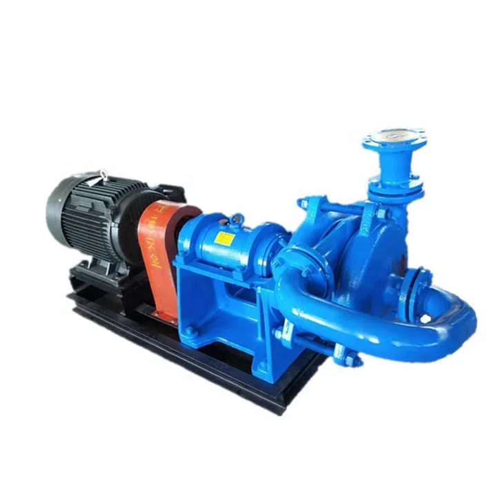 

305m3/h Flow 52.9m Head 75kw Horizontal Centrifugal Slurry Filter Press Feed Pump for Flotation Machine