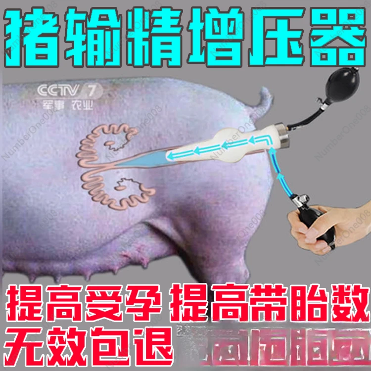 Pig Infusion Device Pig Vas Deferens Pig Insemination Device