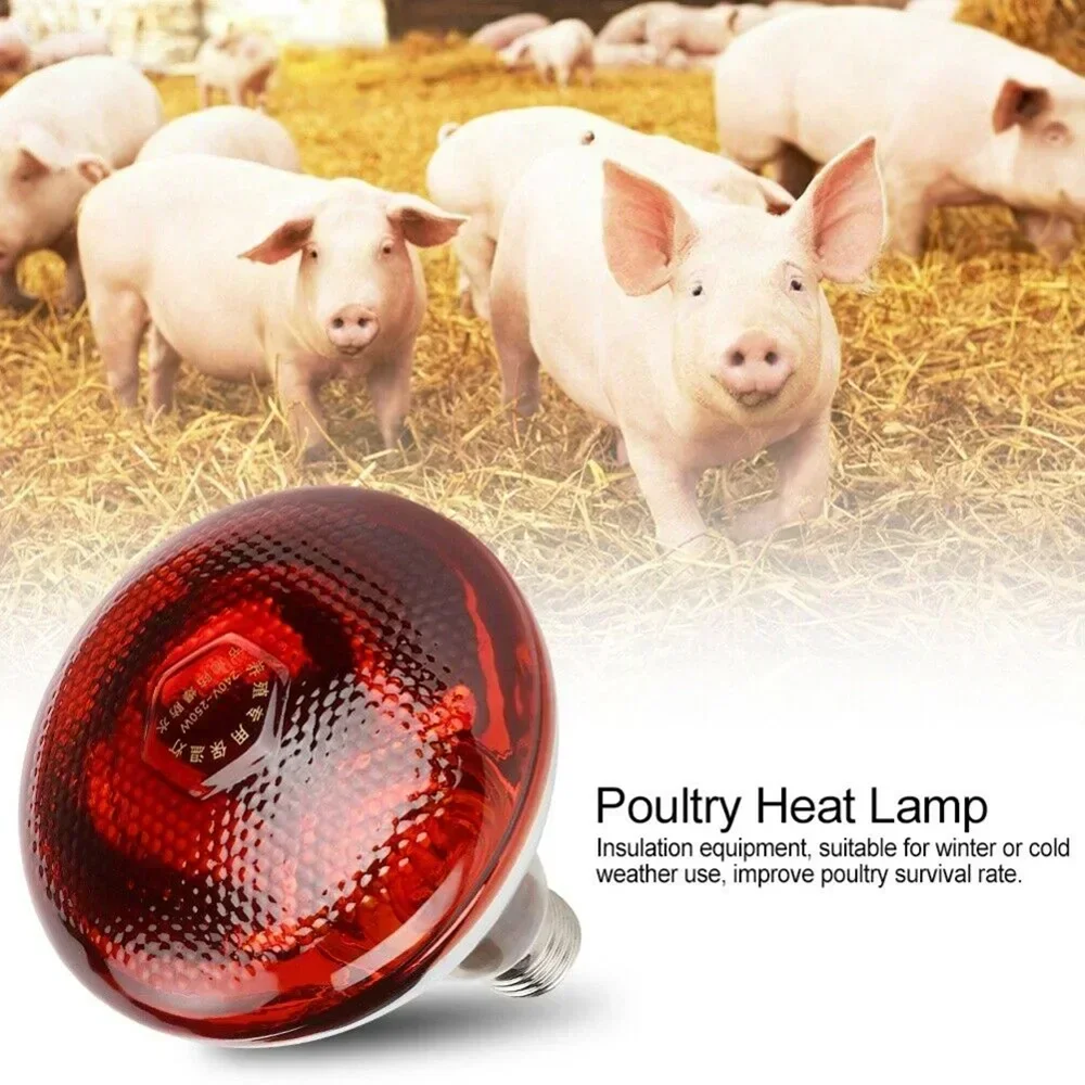 220V Infrared Heating Bulb Lamp 100/150/200/275W for Amphibians Reptiles Poultry Pets Livestock E27 Chicken Duck Farm Supplies