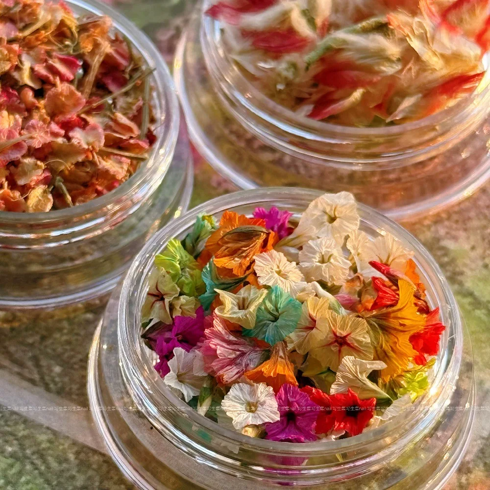 -الصيف الملون-الزهرة الجافة مسمار الملحقات صغيرة طبيعة التطريز فلوريت المجففة جرس الكركديه البتلة مسمار الفن زهر 404