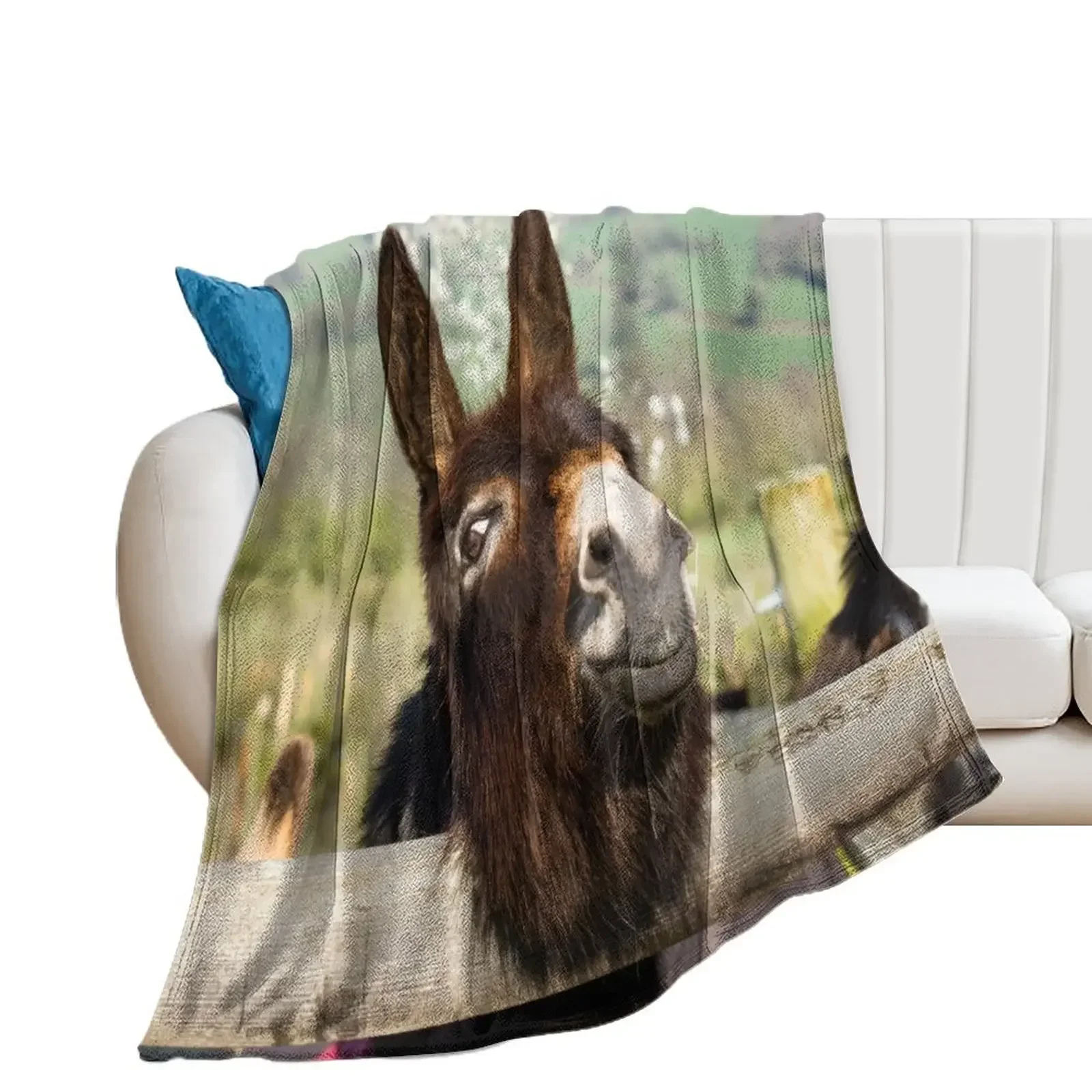 

Doc the Donkey Throw Blanket Softest Blankets Sofas Of Decoration Furry Blankets