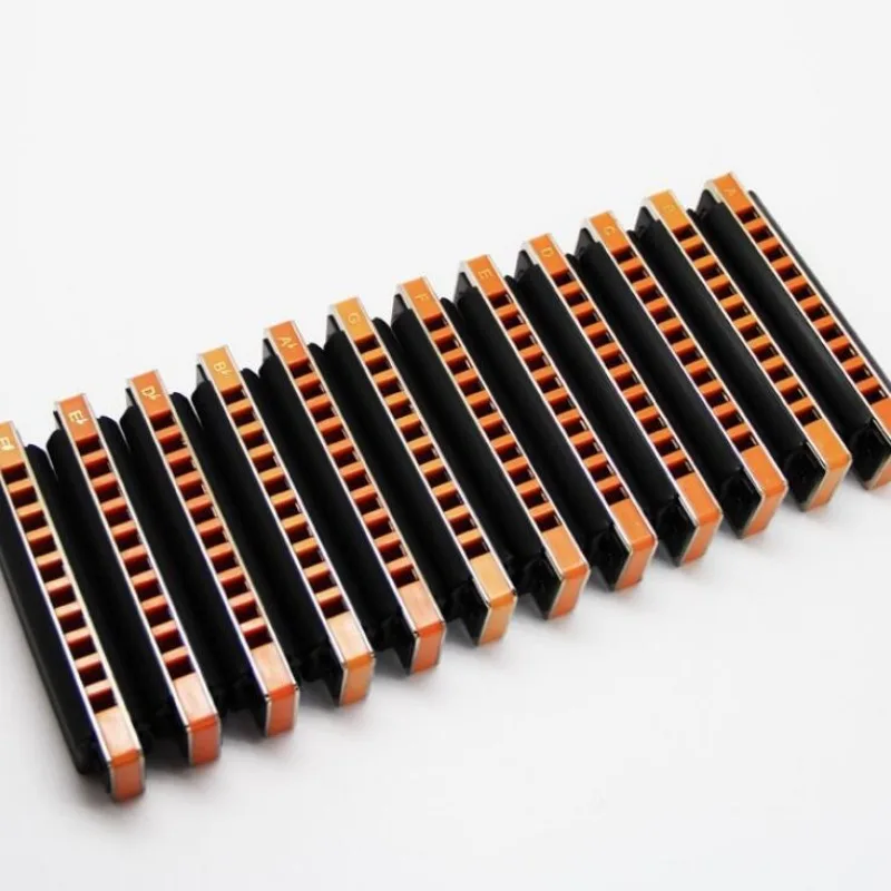 10-Hole Blues Harmonica, Beginner 7/12 Set
