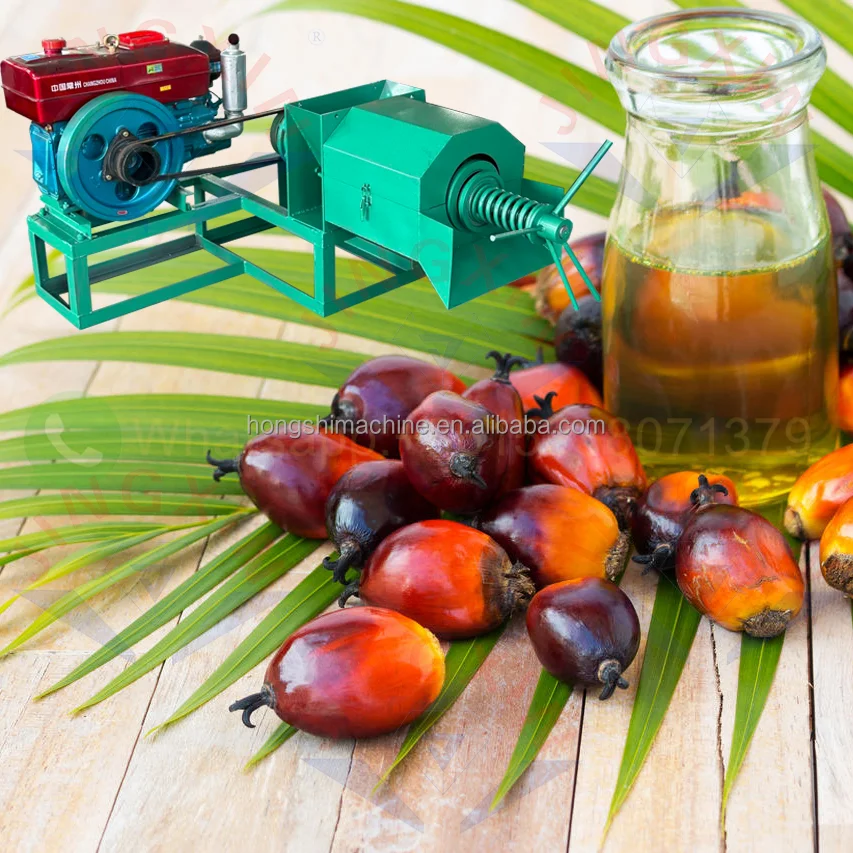 Large capacity palm oil press soyabean sunflower coconut oil pressers copra palm kernel flaxseed oil extraction machine