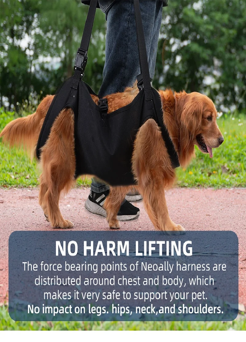 Dog Body Support Harness for Injured Disabled Elderly Dogs Pet Dog Soft Carrying Injuries Recover Support Harness Pet Supplies