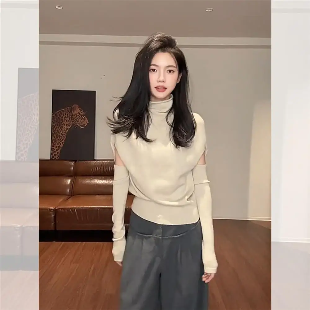 Oversized High Collar Knitted Base Shirt Women's Autumn Winter Beautiful Unique inside Sleeve Sweater Casual Style Pure Color