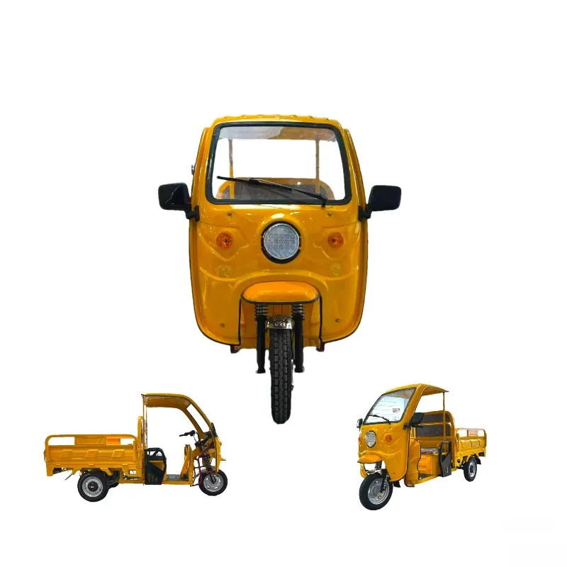 China High Quality Electric Tricycles for Adults Cargo Tricycle/Chinese 3 Wheel Electric Motorcycle for Adults Commuting