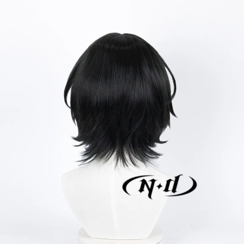 ND Feitan Portor تأثيري الباروكات أنيمي كوس شعر مستعار أسود ل كوميك كون كوزر زي موضوع حفلة مقاومة للحرارة الاصطناعية