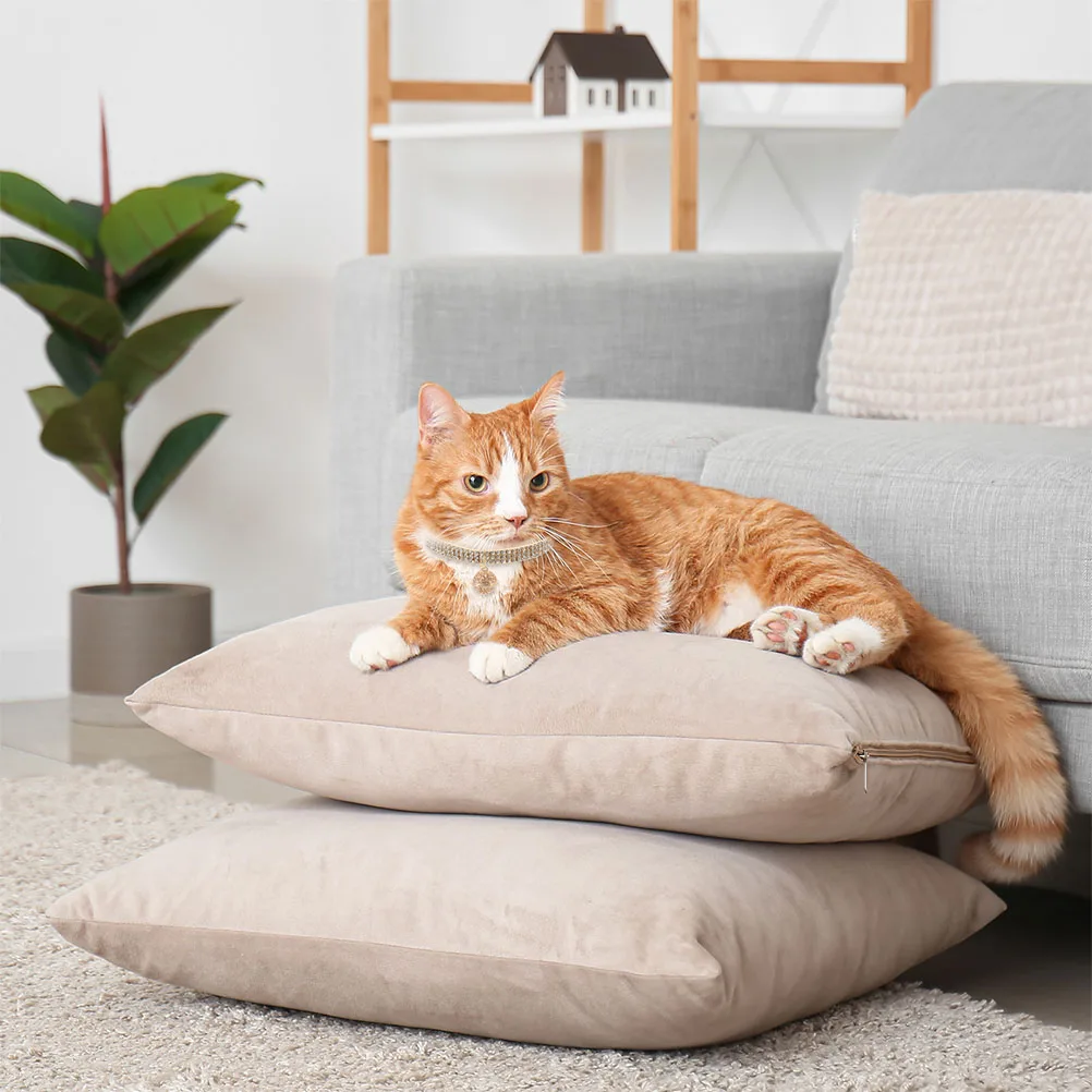 

Pet Collar Cat Supplies Dog Necklace Accessories Collarwith Bells Clasp for Pets Cat/dog Collars Cats Small