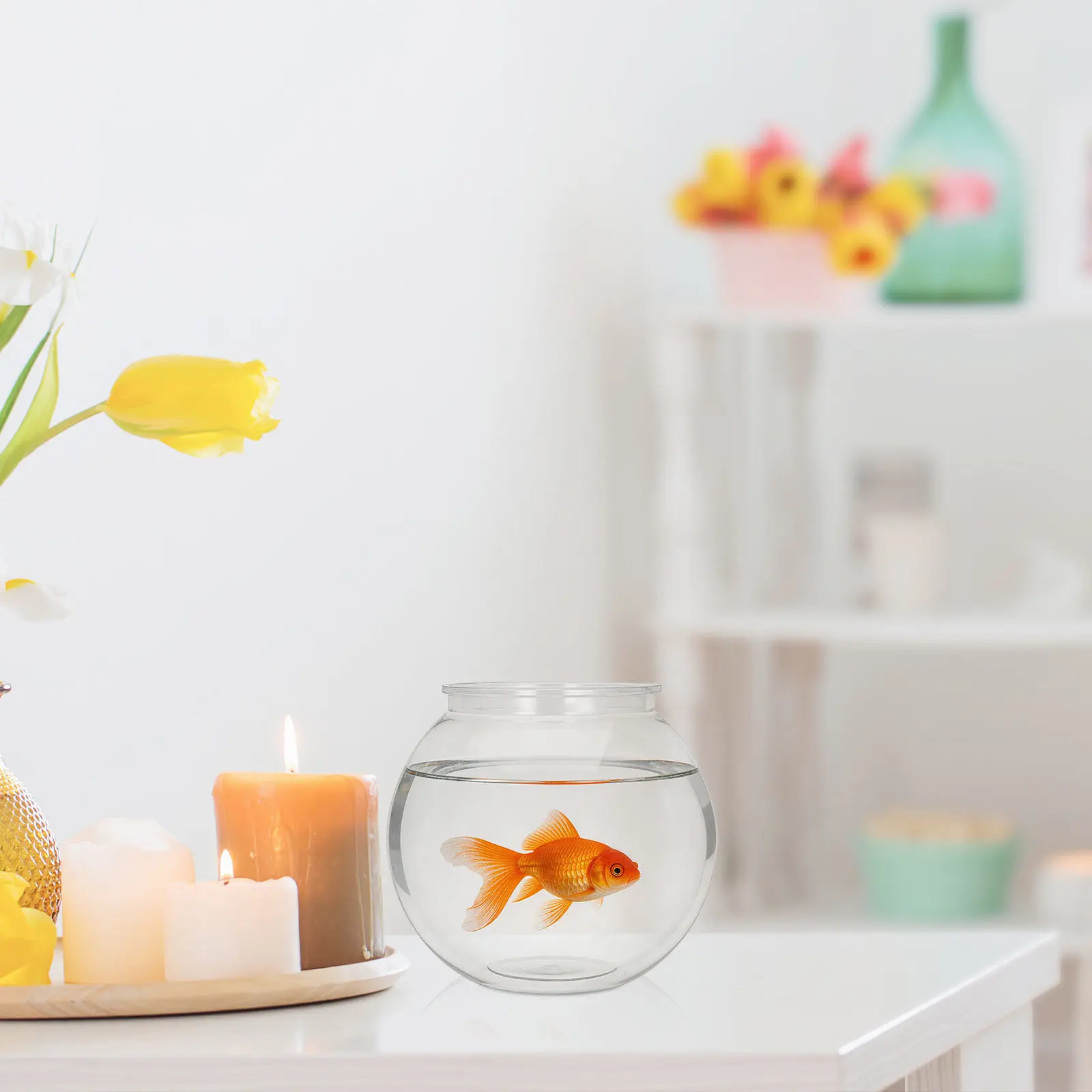 Mini Plastic Terrarium Jar for Succulents Air Plants Hydroponic Desktop Planter Transparent Ecological Landscape Tank Micro