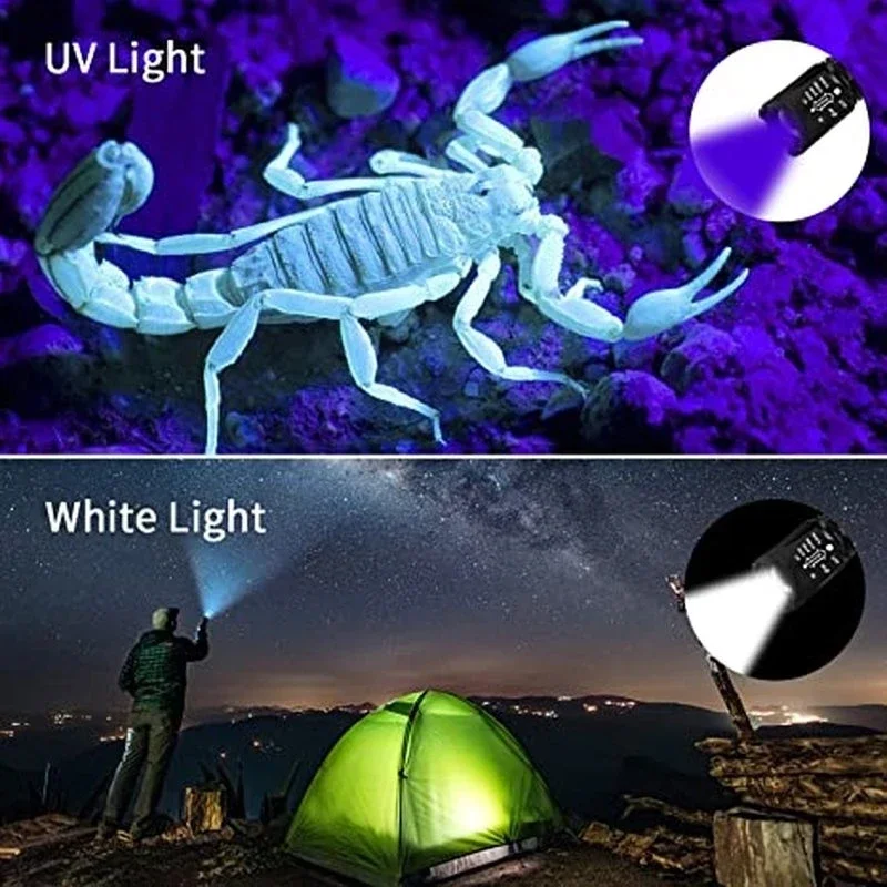 Purple White Dual Light Flashlight LED Ultraviolet Torch Zoom Retractable Flashlight Lamp Fluorescent Agent Detection Flashlight