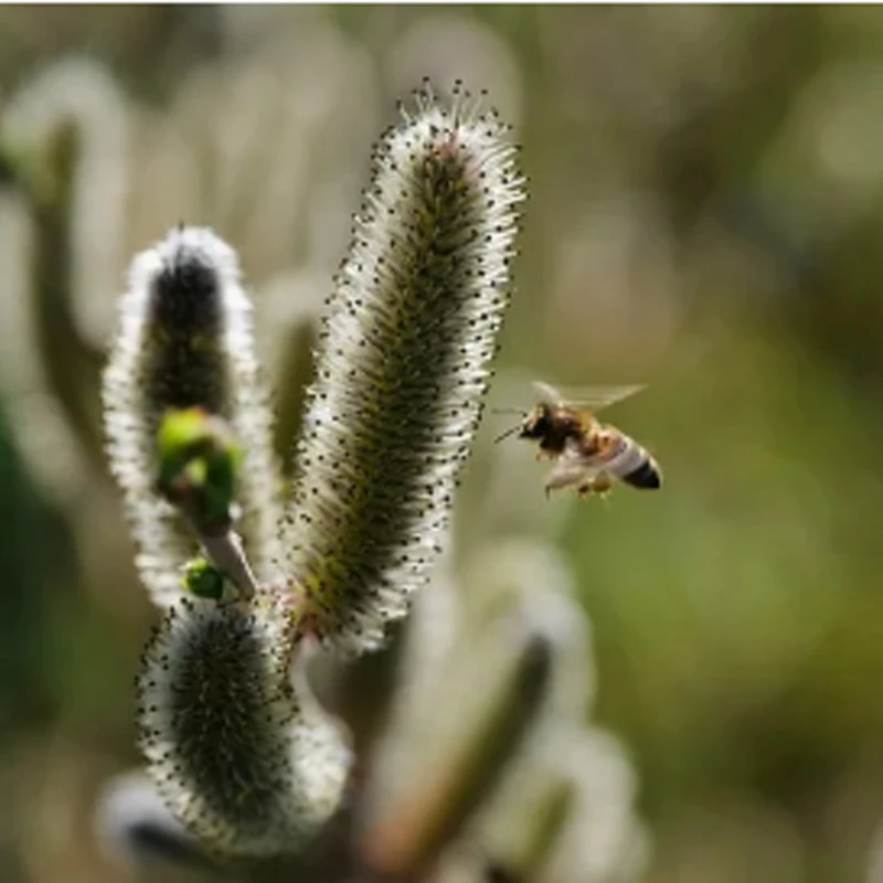 

Цифровой бесщеточный сервопривод JX B130 с полным ЧПУ, металлическим редуктором и мега-крутящим моментом 130 кг для радиоуправляемых моделей 1/5: машин, грузовиков, роботов, дронов