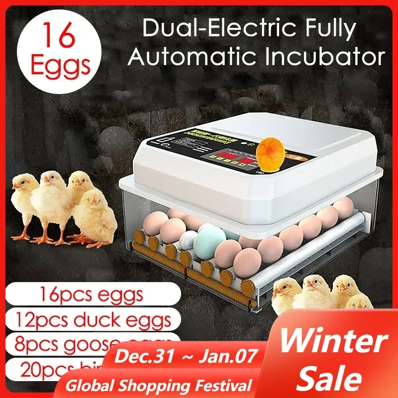 Farm Poultry Fully Automatic Turning Egg Incubator Dual-Electric Mini Household Brooder for Chicken Goose Duck Bird 16 Eggs 220V