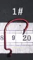 S2
