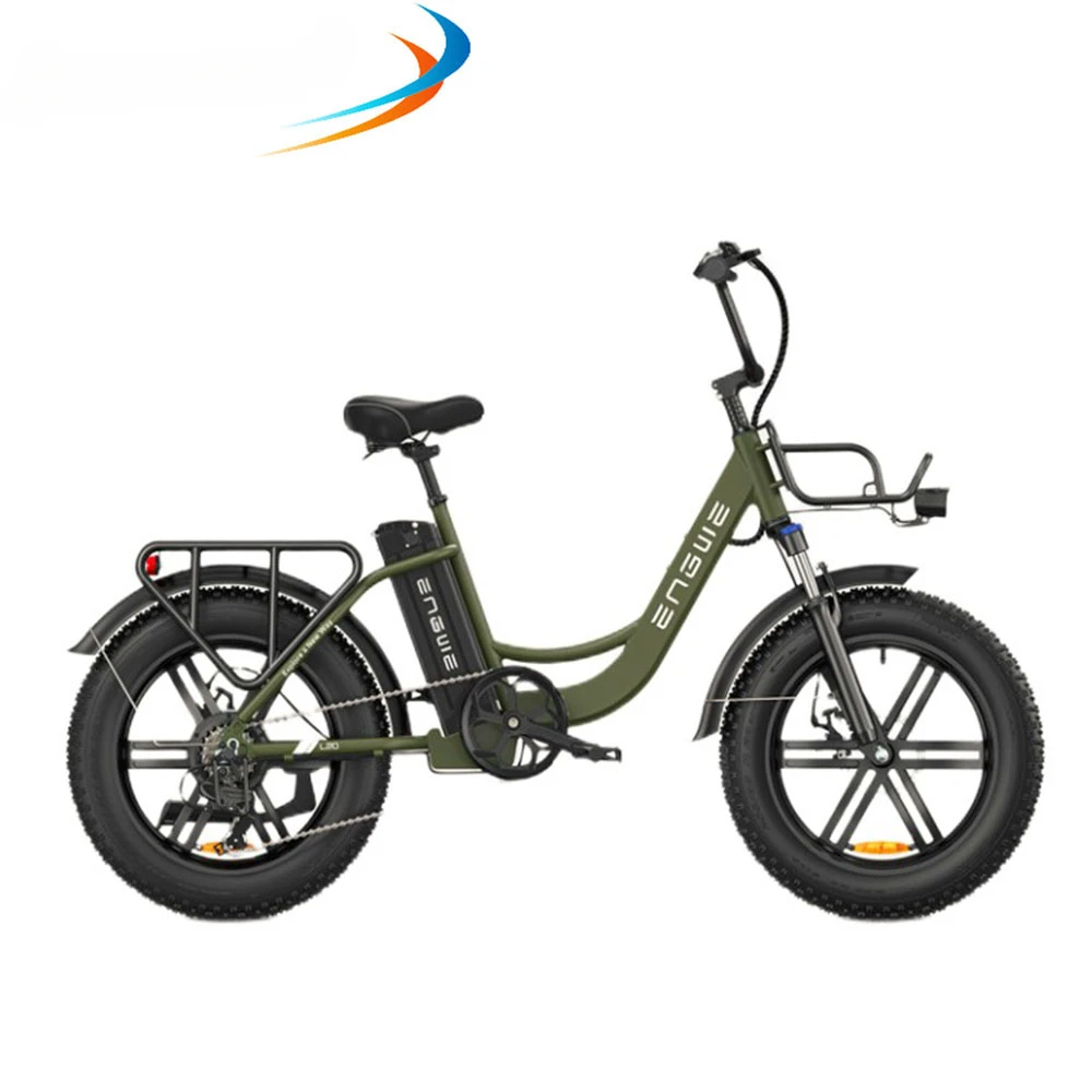 L20 EBike With 20inch Fat Tires 48V 13AH Battery 250W Motor 25km/h Speed Off-road Electric Mountain Bicycle