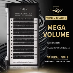 Winky Beauty 12 righe Classic Individual Mink Hair Lashes Extension Matte Black Fluffy Silk Extension ciglia per trucco di bellezza