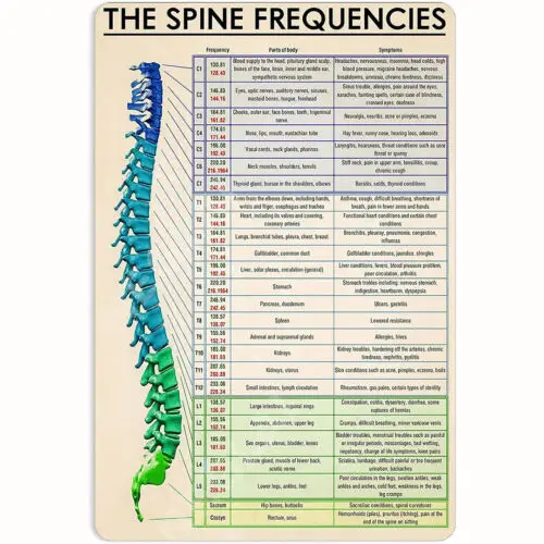 The Spine Frequencies Knowledge Tin Sign Poster Vintage Decor Home Gym Fitness sign