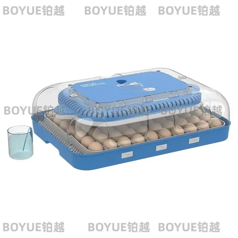 Automatic Humidity Control 70 Dual Power Incubator Hatching Machine Solar Incubator for