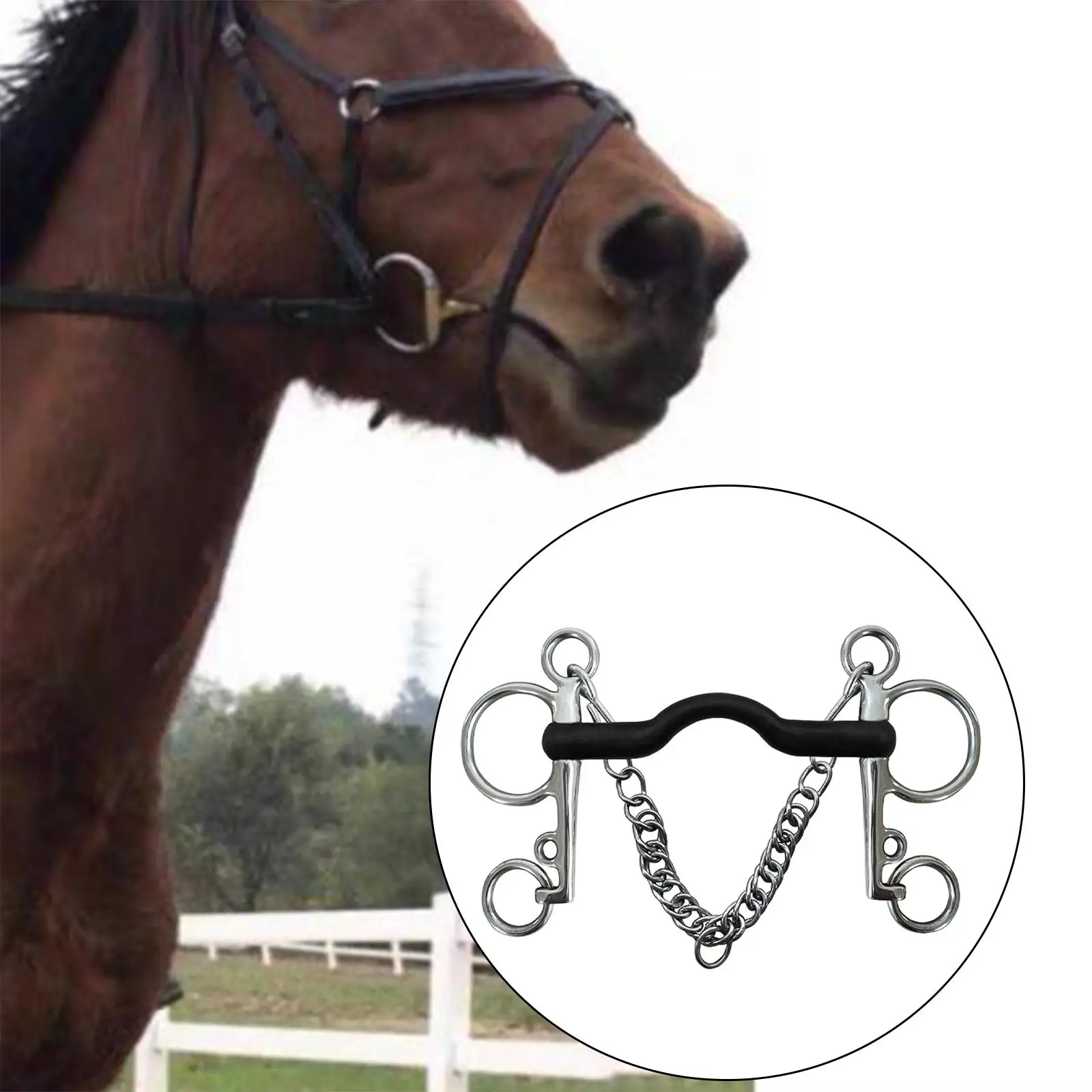 Bit, with Silver Trims, W/Curb Hooks Chain, Stainless Steel, for Horse Chewing