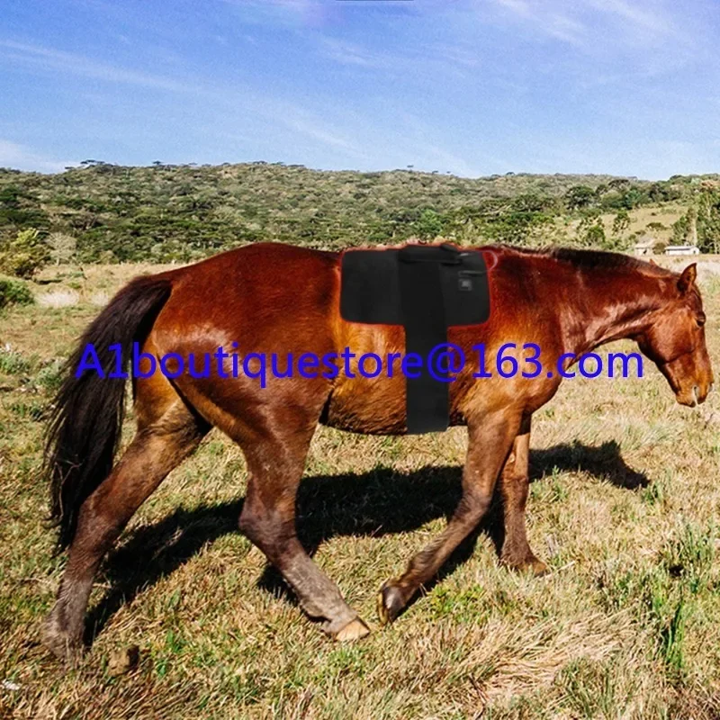 Red light physiotherapy horse pet 660nm 850nm equine pain relief infrared light physiotherapy pad