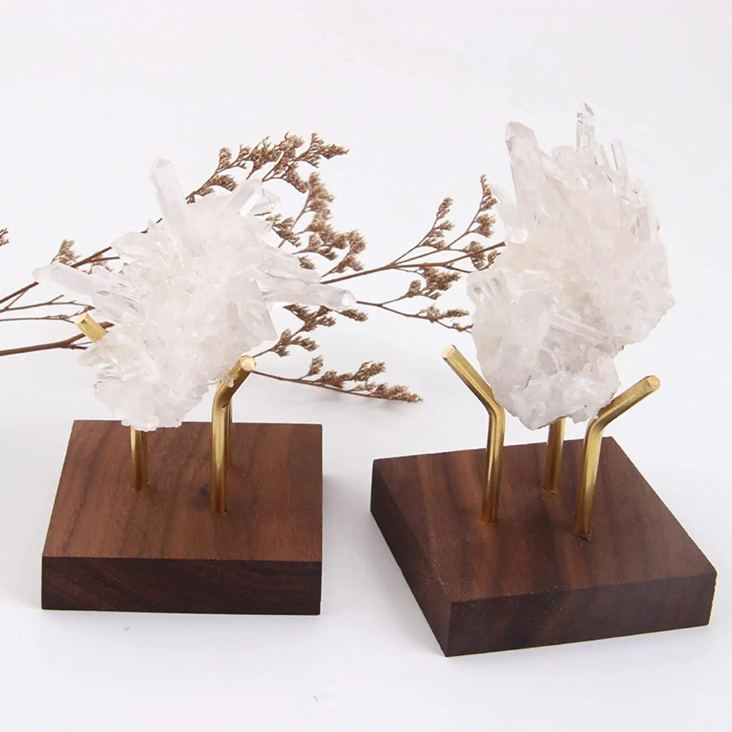 2 PCS Display Stand Walnut Base Crystal Display Holder for Fossil Coral Geodes Rock Mineral Agate Small Collectibles