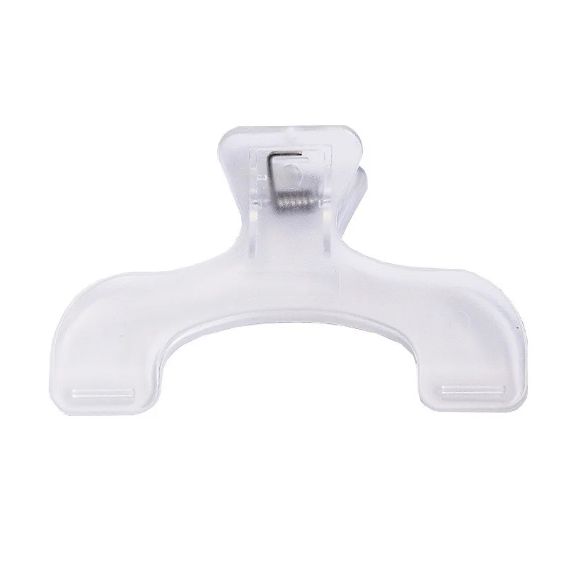 Kawaii Transparent Frosted Book Clip