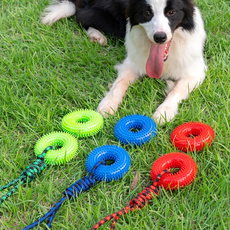 Jouet vocal interactif pour chien, jouet à nœuds durable pour nettoyer les dents, nettoyage dentaire pour chien, fournitures pour animaux de compagnie, jouets pour chien, entraînement, fournitures pour animaux de compagnie
