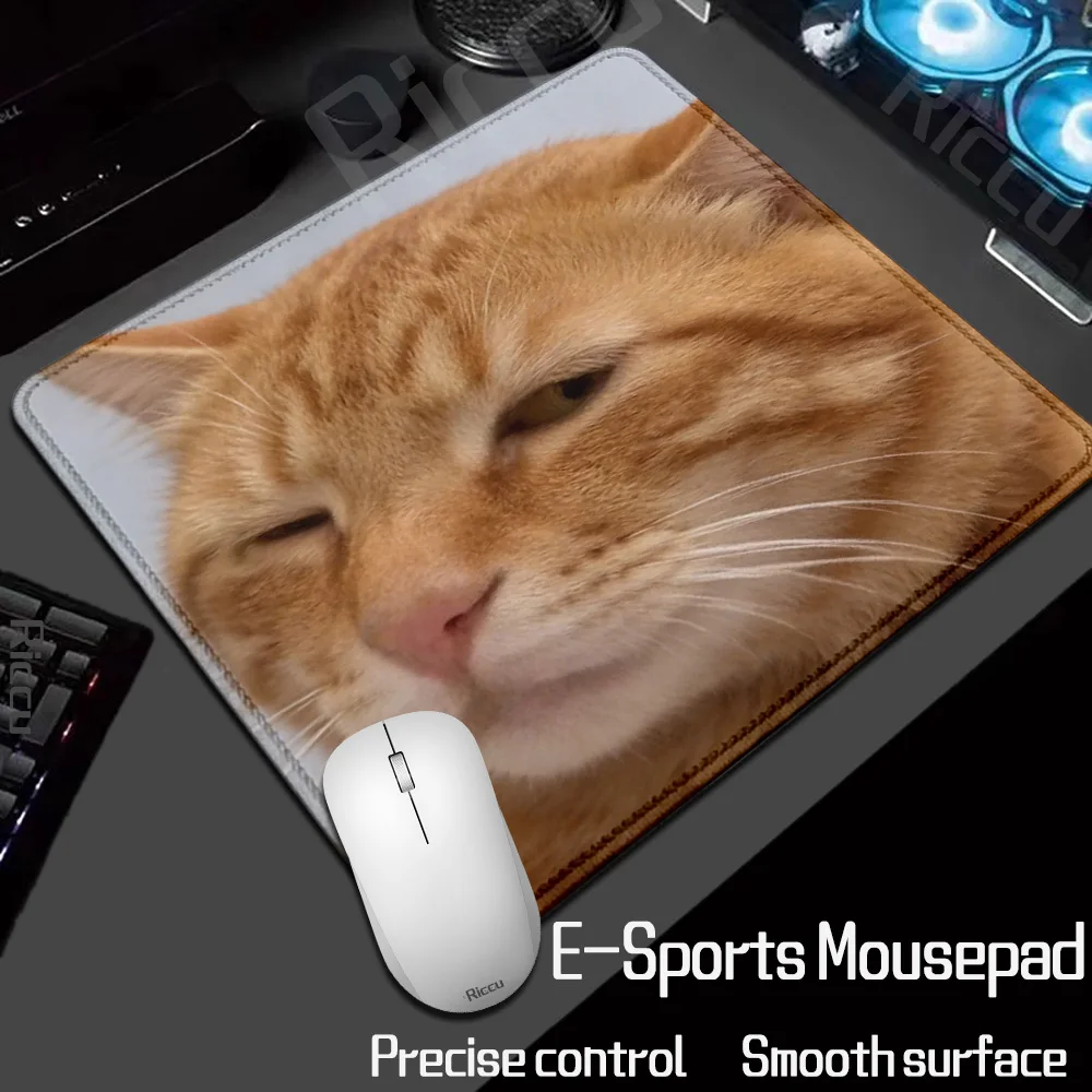HD XL Kawaii Modische Beliebte Lustige Niedliche Katze Kleine Größe Meme Mauspad Laptop Büro Anime Mausunterlage Gummi Tastaturunterlage Schreibtischunterlage – Detail 1