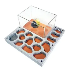 3D Acryl Ameise Farm ökologische flache Ameise Nest mit Fütterung bereich Gips Ameise Haus Haustier Ameisen haufen Werkstatt feuchtigkeit spendenden Wasser Pool neu