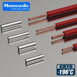CRYO-196℃ 72H Pure Silver Fuse - 99.9% 4N Sterling Silver Hollow Seamless Tube, High-Fidelity Replacement for Audio Amplifiers,