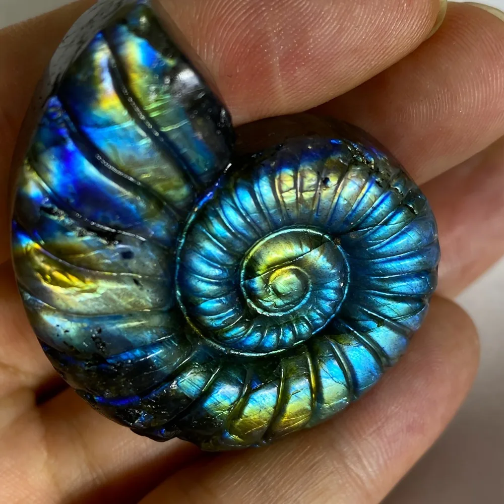 1pc Flash Laradorite Ammonite Shell Crystal -Rare Collection Handcrafts, Iridescent Blue/Green/BlackGolden Bohemian Spiral Shell