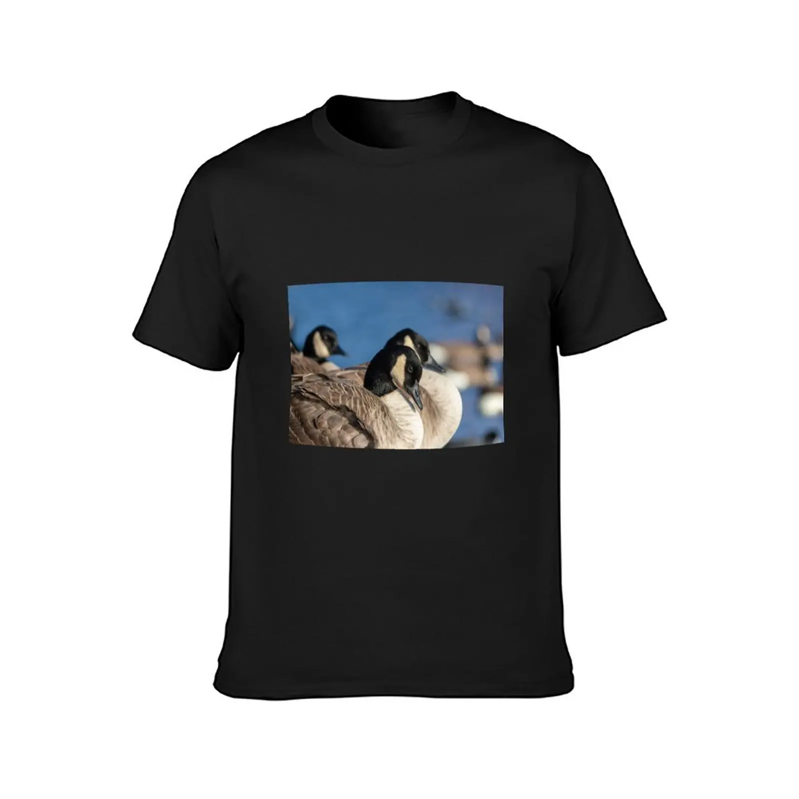 Canadian geese T-Shirt for a boy tops mens graphic t-shirts