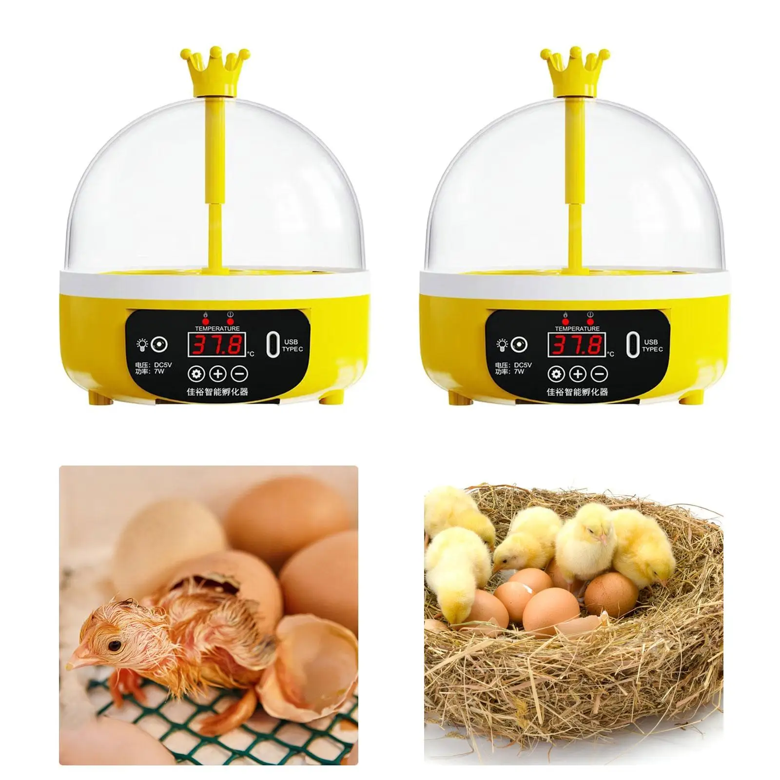 Egg Incubator Clear Top Cover Temperature Control Digital Poultry for Birds