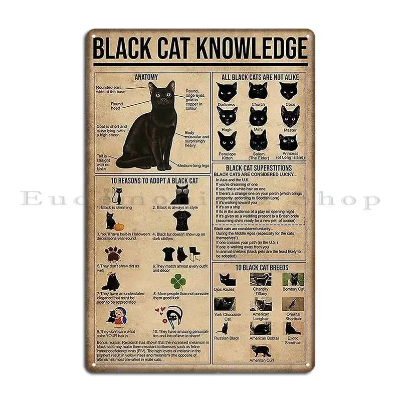 Black Cat Knowledge Metal Sign Living Room Poster Bar Garage Print Tin Sign Poster