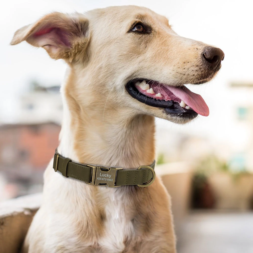 Personal isierte Hunde halsband Leine Set maßge schneiderte Hunde halsband Walking Blei Seil Leder Haustier Halsbänder für kleine mittelgroße Hunde Mops – Detail 24