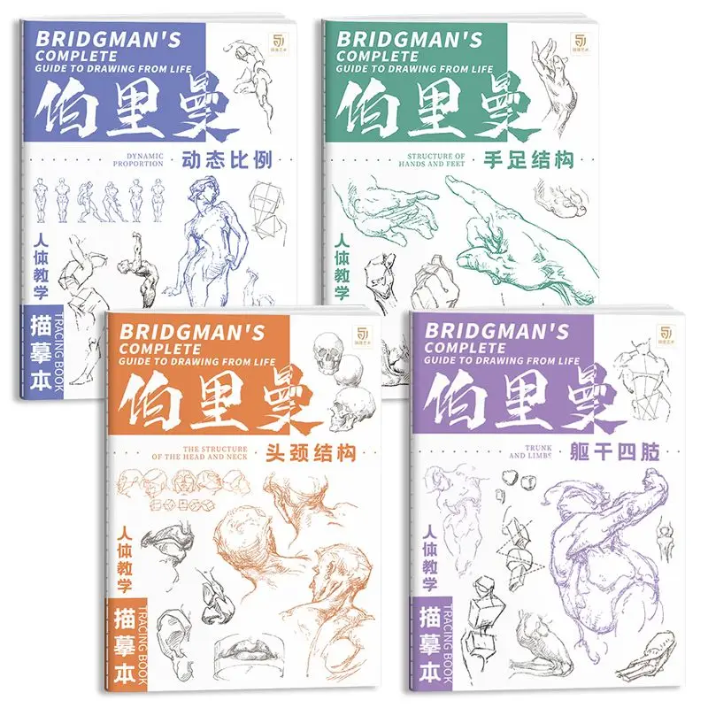 Berryman's Teaching Copy of The Human Body Tracing Book Set mit 4 Büchern, dynamische Skala, Kopf- und Halsstruktur, Skizze für den menschlichen Körper