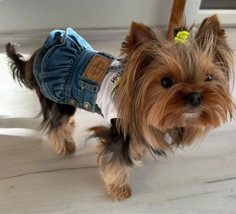 Small Dog Clothes Costume Denim Jeans Dress Cat Puppy Pet Skirt Yorkshire Pomeranian Shih Tzu Maltese Doggie Clothing Dresses