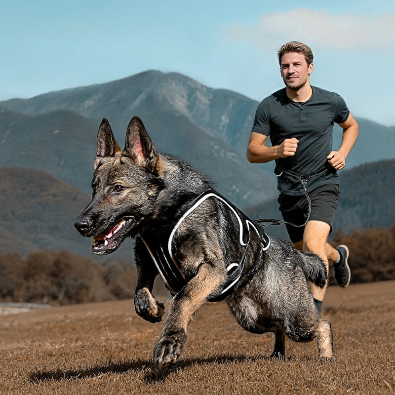 Adjustable Dog Rope Reflective Explosion-proof Dog Chest Strap Large Medium Dogs Outdoor Walking Chest Vest Durable Pet Products