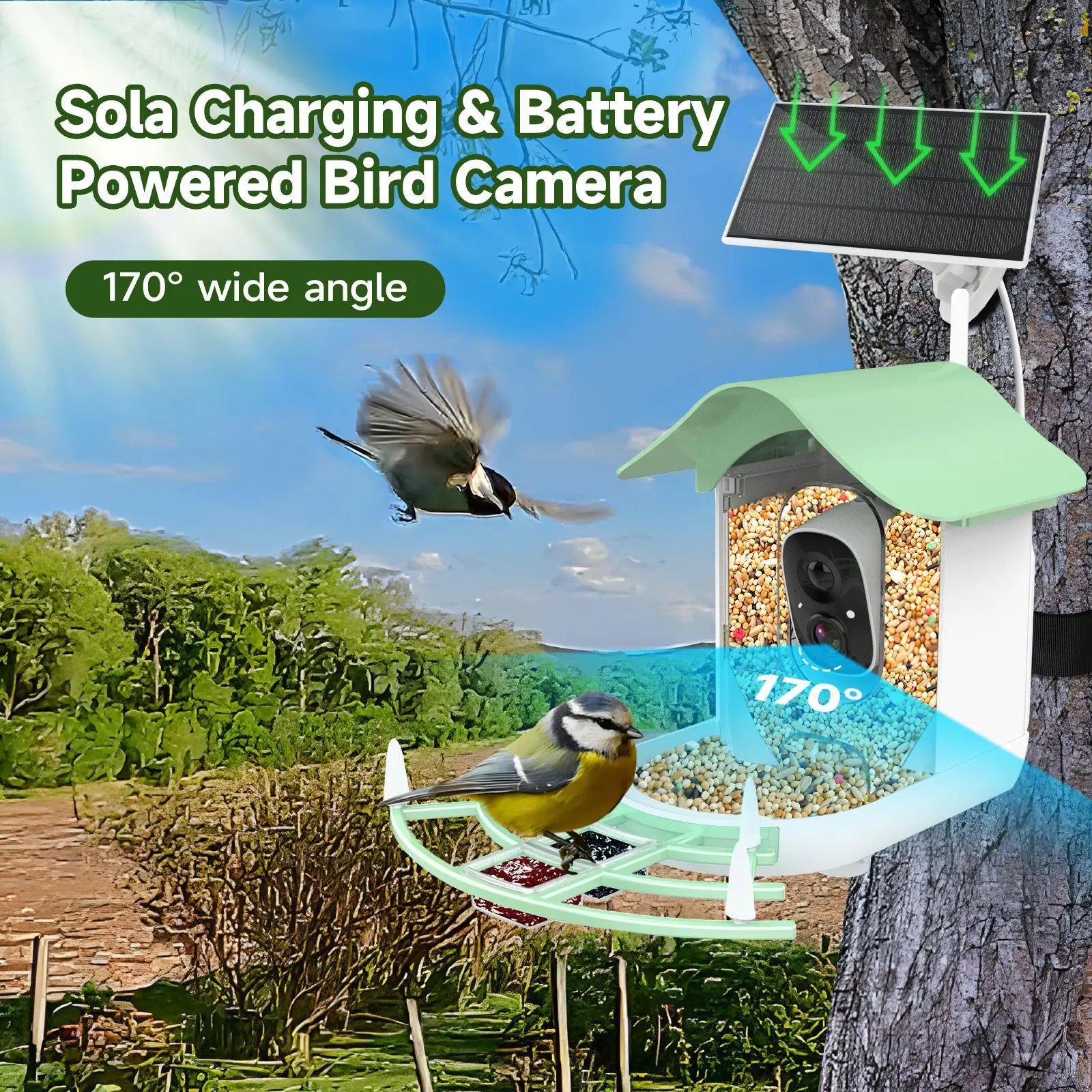STLFApp Video Auto Capture CamerassIntelligent Smart Bird Food Feeder Prevent Squirrels