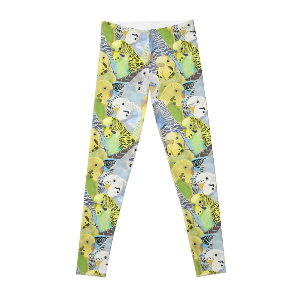 Budgie Parakeets Leggings push up legging workout shorts Womens Leggings