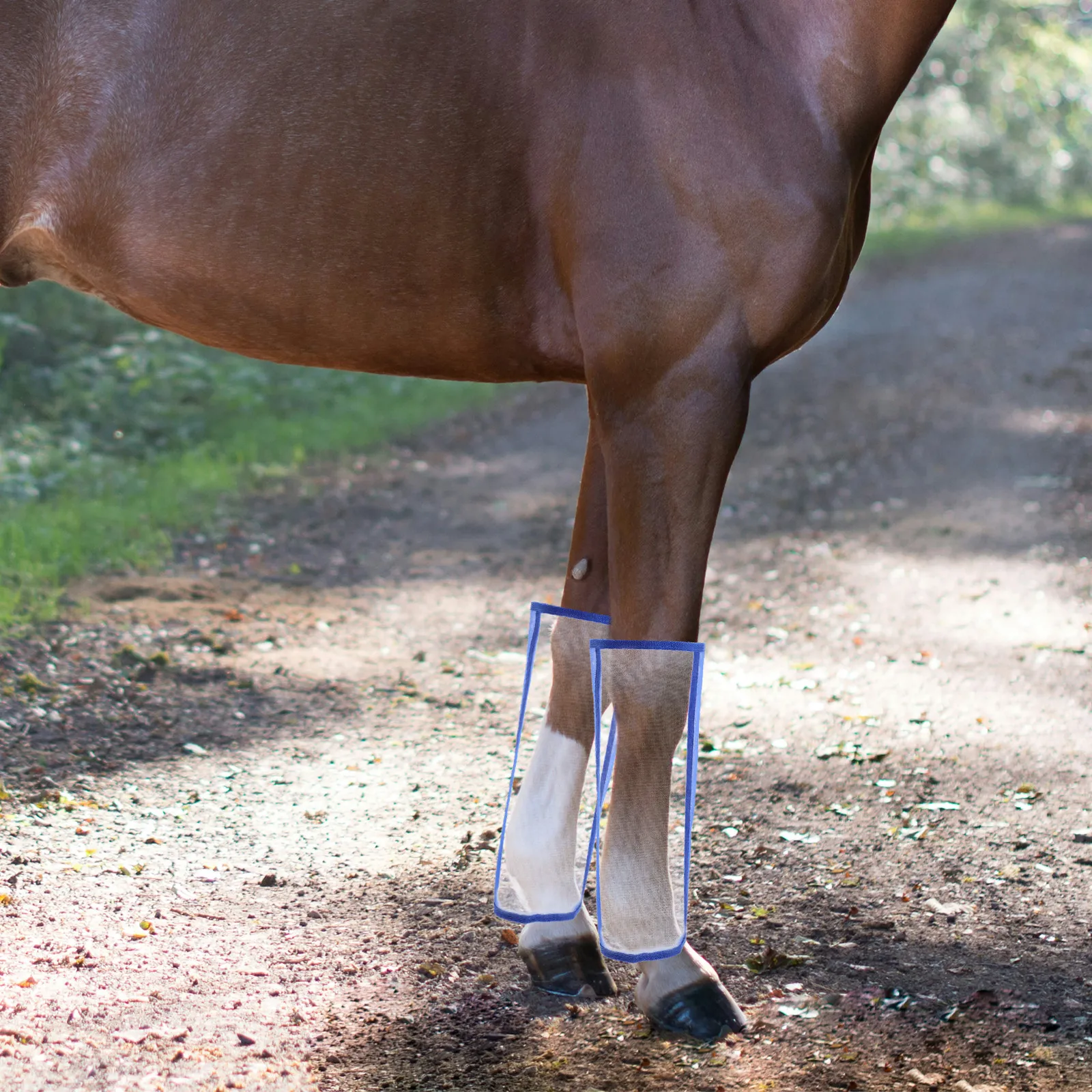 4Pcs Horse Fly Boots Breathable Mesh Leg Guards Non-Slip Training Outdoor Riding Fly Protection Lightweight
