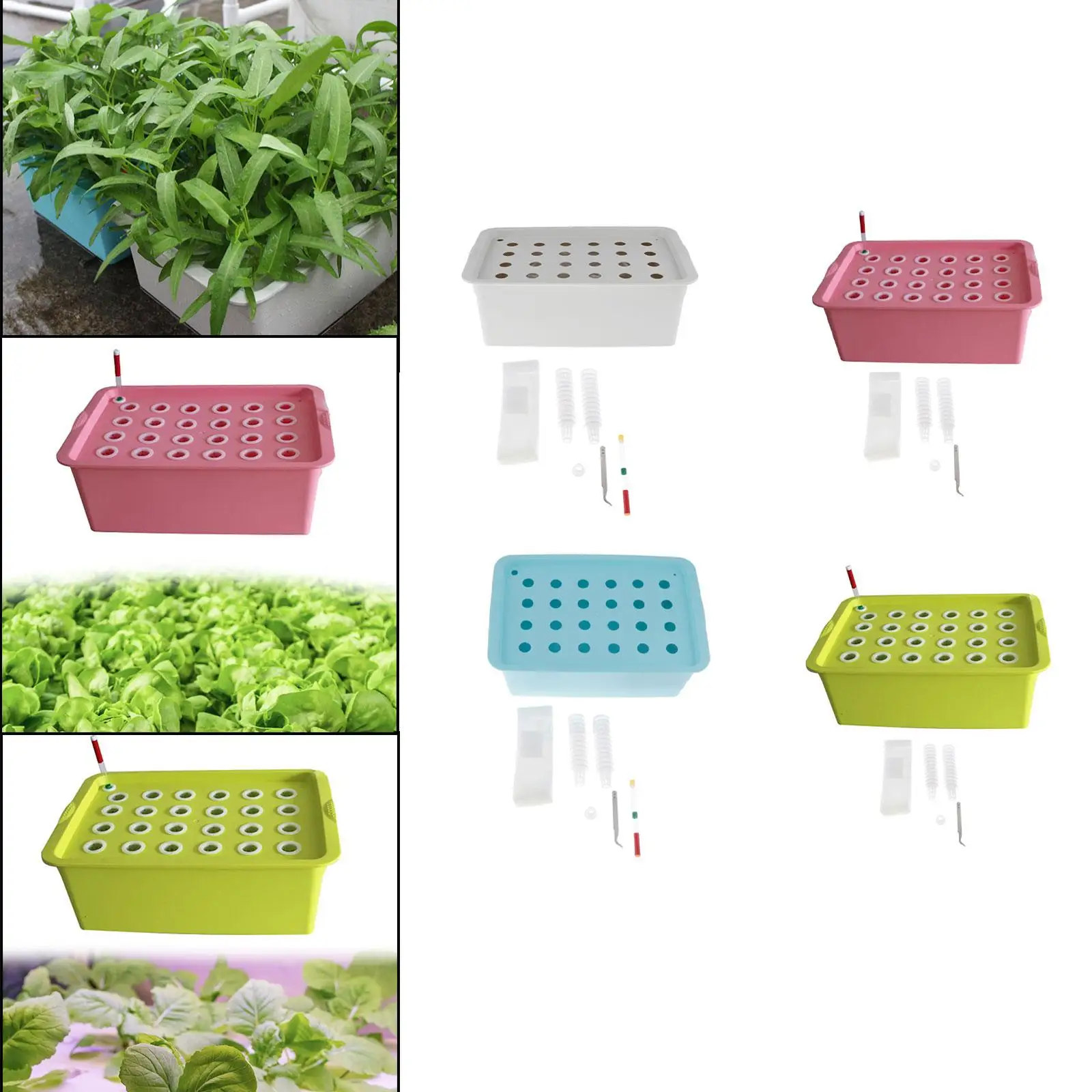 Indoor Hydroponic Grow Set Garden Cabinet Box 24 Holes Hydroponic System Growing Set for Parterre Garden Office Balcony Fruits