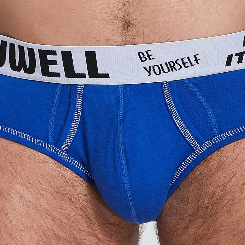 Cotton Mens Panties Brand Men Briefs Underwear Man Underpants Sexy Bulge Penis Pouch Low Waist Jockstrap Shorts Male Lingerie