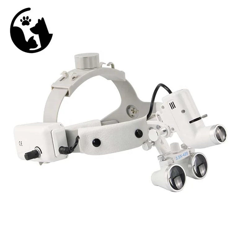 5W Portable LED Medical Headlamp - Oral Surgery/ENT/Veterinary Clinical Operating Headlight for Surgical Room