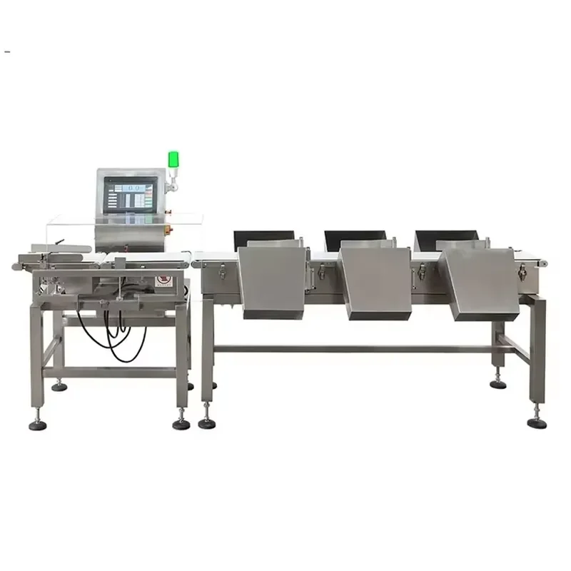 High Precision Conveyor Digital Weighing Scales for Food Snack Confectionery Baked Goods Nuts and Bottled Beverage Packaging