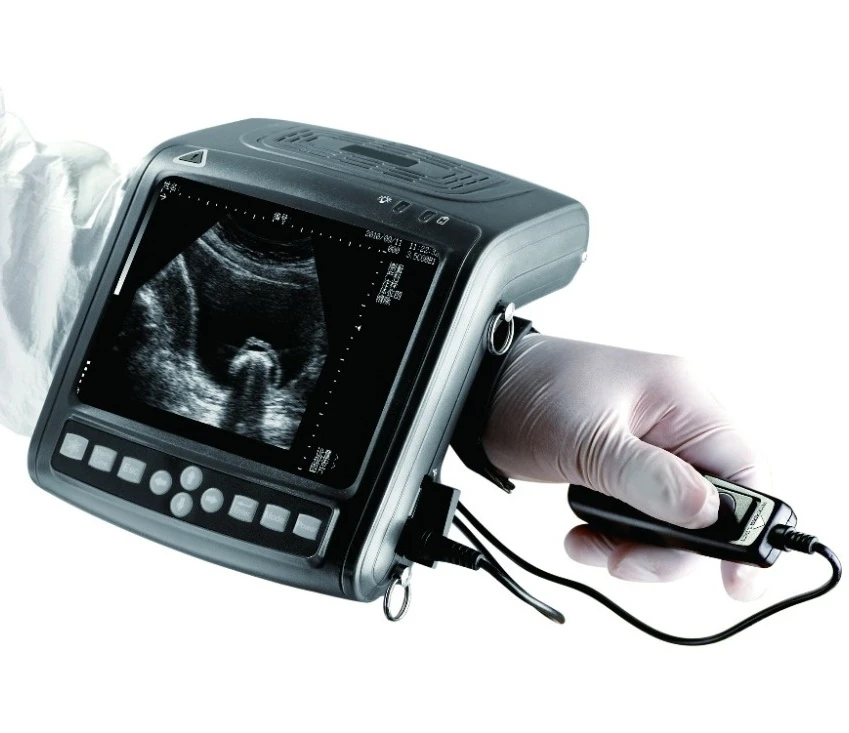 Handheld Veterinary Ultrasound with Reliable Imaging for Mobile Use  Lightweight and Portable Device for Animal Health Diagnosis